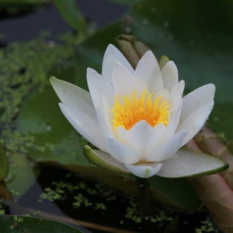 依依品牌母婴—守护宝宝成长每一步