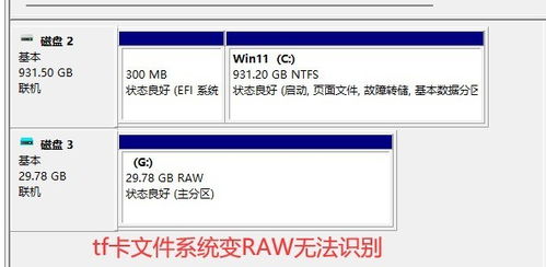 最新查开房记录数据的深度解析