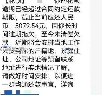 武汉套出来花呗被起诉了吗