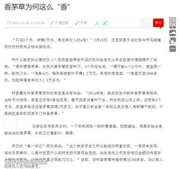 靠什么发家致富道具，深度解析与实例探究
