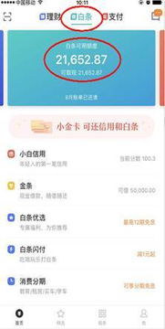 个人白条提现手续费揭秘，哪些情况免费，哪些情况要收费？