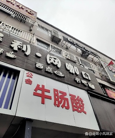 公会牛肠酸加盟指南，从入门到精通的全过程解析