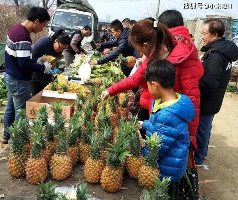 乡下做生意，选什么项目更赚钱？看我一一解析