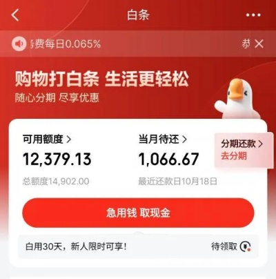 北海套出来京东白条，轻松购物，信用生活新体验！