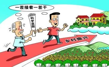 农民致富的坚实保障，多元因素助力下的农村振兴之路