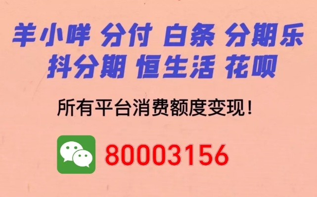 揭秘北海套出来抖音月付，揭秘抖音月付背后的秘密与案例分享