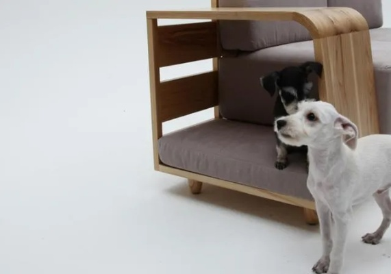 家居品牌狗狗桌椅—让爱犬在家也能享受舒适生活