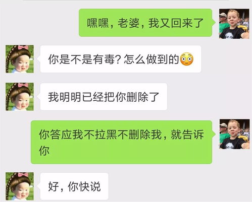 揭秘QQ聊天秘密，如何查看好友的聊天对象和记录