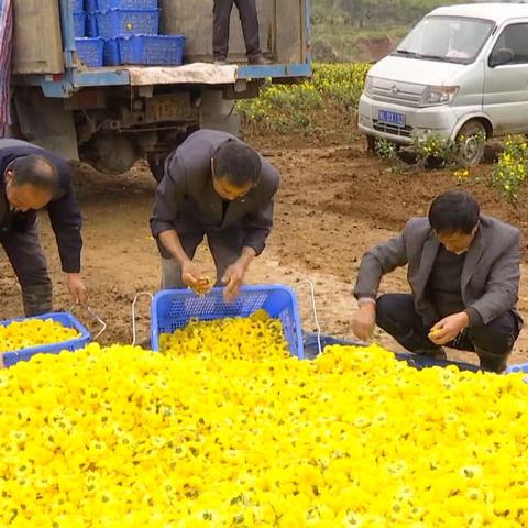 干什么工作能致富？从行业趋势与成功案例看致富之路