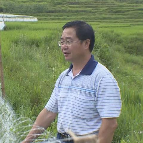 干什么工作能致富？从行业趋势与成功案例看致富之路