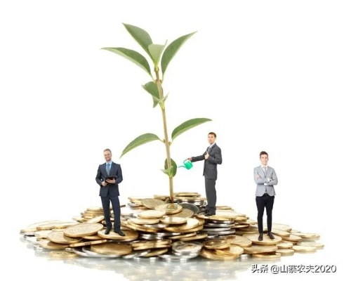 研究什么才能致富起来？从多个维度看致富之路