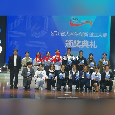 浙江创业项目大盘点，热门领域与成功案例解析