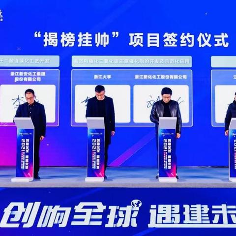 浙江创业项目大盘点，热门领域与成功案例解析