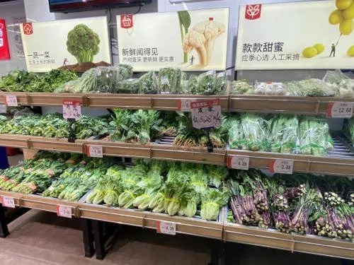 蔬菜加盟店拿货攻略，货源选择与管理的智慧