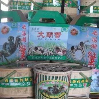 常州汽车品牌概况与案例分析