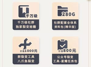 50岁做什么行业赚钱最快？看这些热门领域和成功案例