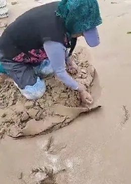 沙滩做什么生意比较赚钱呢？看我一一揭秘