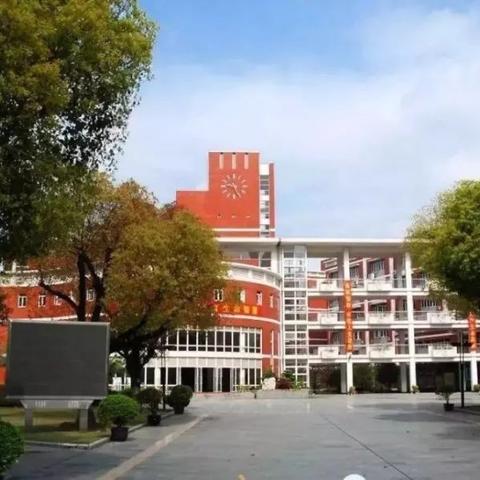 探索品牌电脑的世界，性能、价格与选择指南