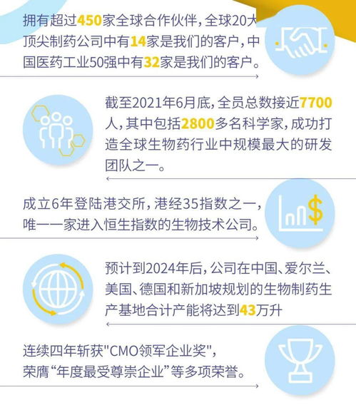 医药品牌分析实习面试全攻略