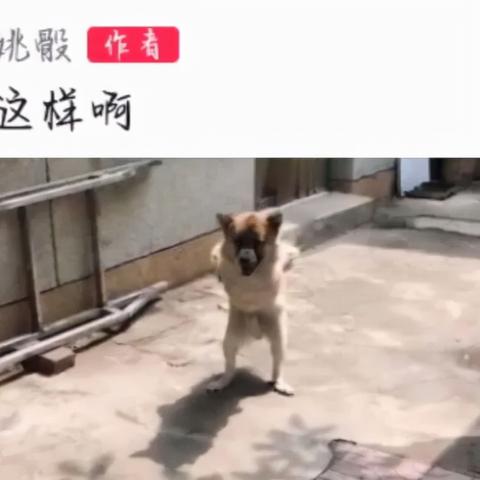 揭秘！如何查看老公和别人的微信聊天记录？实用技巧大公开！