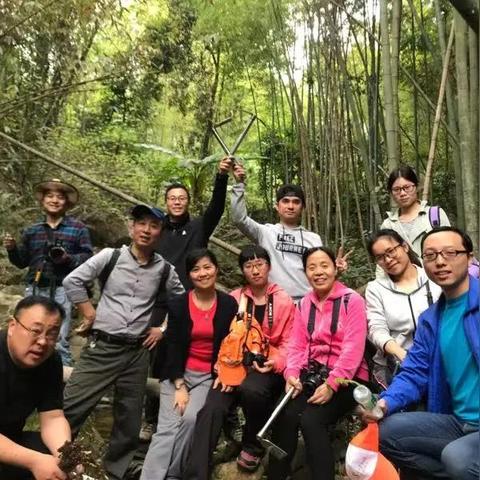 中医药品牌企业的崛起之路—从传统到现代的创新之旅