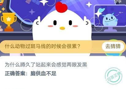 羊小咩便荔卡套出来秒回商家，购物体验太赞了！