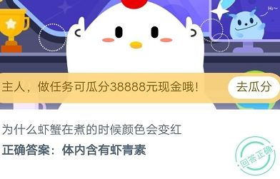 羊小咩便荔卡套出来秒回码，揭秘社交新潮流