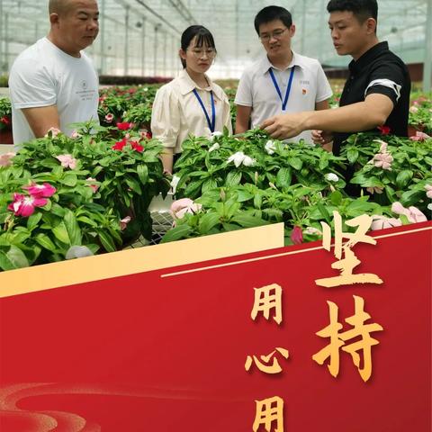 家居新风品牌推荐
