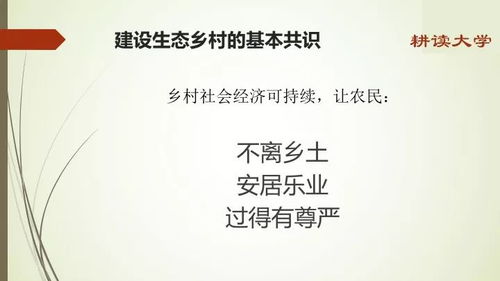 种田不能致富？探究原因并提出解决方案