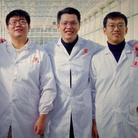 茶品牌电脑，传统与现代的完美融合