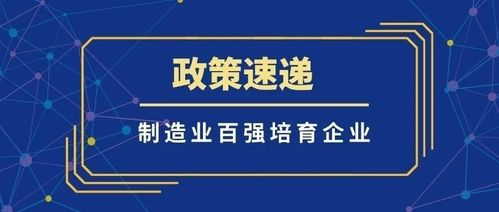 加盟柠檬码头，开启你的创业新篇章—深度解析与案例分享