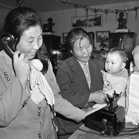 养什么可致富好？深度解析养殖业的潜力与机遇