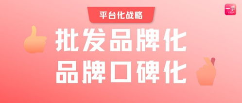 森歌厨电加盟指南，一步步引领你走向成功之路