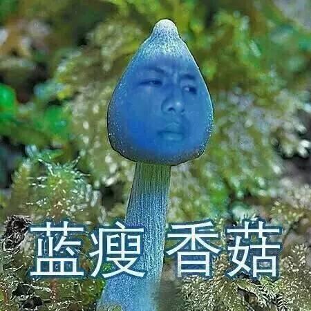 支付宝提现额度用完了，别着急，这样办