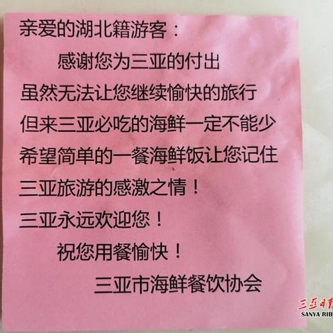 维也纳酒店APP查住宿记录全攻略，轻松掌握查询方法与注意事项