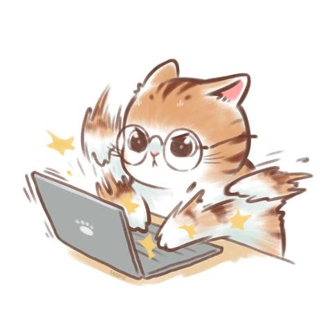 猫品牌电脑，性能与设计的完美结合