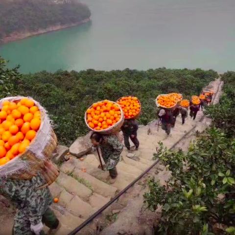 揭秘抖音月付提现解封时间，别再等花啦！
