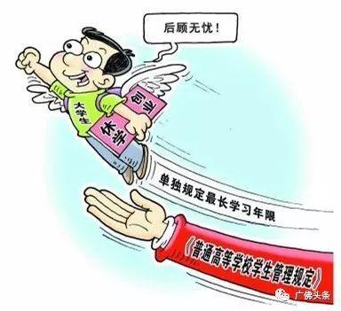 大学生创业养殖行业有哪些？看这里就明白