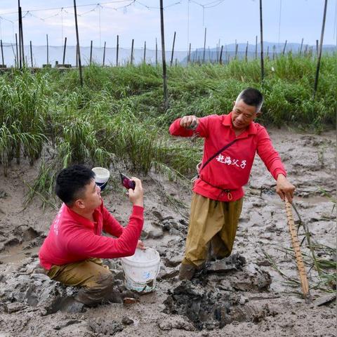 赶海做什么最赚钱呢？女生赶海创业全攻略