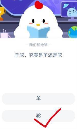 羊小咩便荔卡套出来秒到，揭秘支付速度背后的秘密！