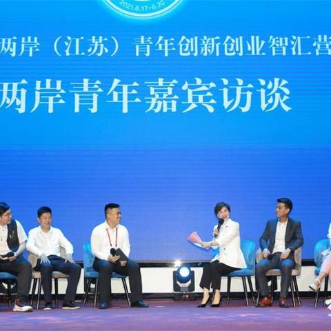 江苏创业项目优选企业全解析，成功案例与深度剖析