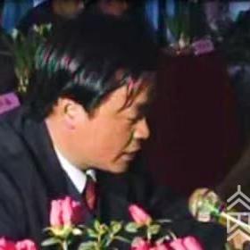 江苏创业项目优选企业全解析，成功案例与深度剖析