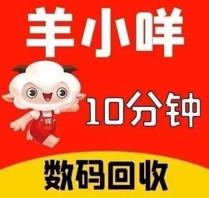 搞羊小咩享花卡提现体验分享，轻松赚钱，花卡提现攻略大揭秘！