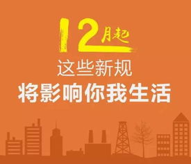 保定套出来羊小咩享花卡，畅享生活新体验！