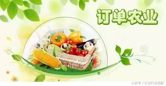 创业农产品营销方式大解析，从田间到餐桌的巧妙转化