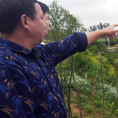 微店放心花套，店家实操指南与案例解析