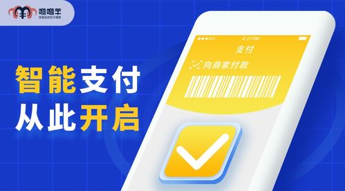羊小咩便荔卡套出来秒到平台24，揭秘便捷支付背后的秘密！