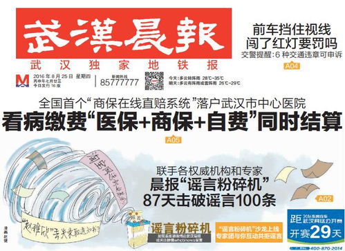 羊小咩便荔卡套出来秒到平台24，揭秘便捷支付背后的秘密！