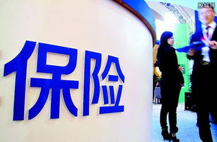 高州花呗用户福音，轻松找商家兑现，告别线上支付烦恼！
