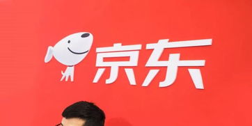 高中生如何用京东白条轻松提现，攻略来了！